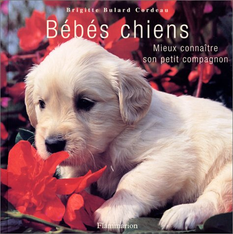 Bébés chiens : mieux connaître son petit compagnon