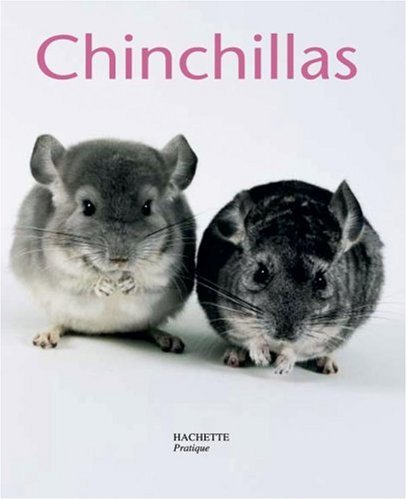 chinchillas