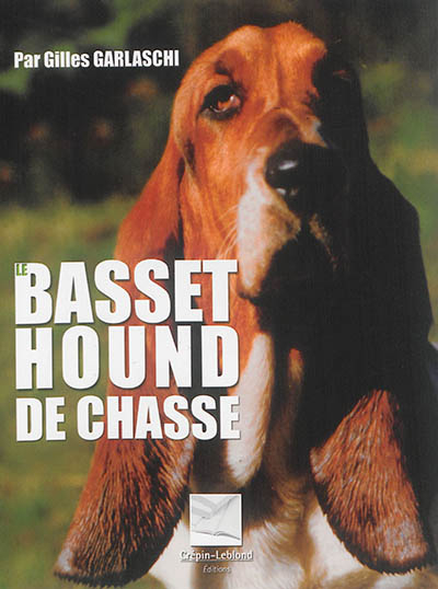 Le basset Hound de chasse