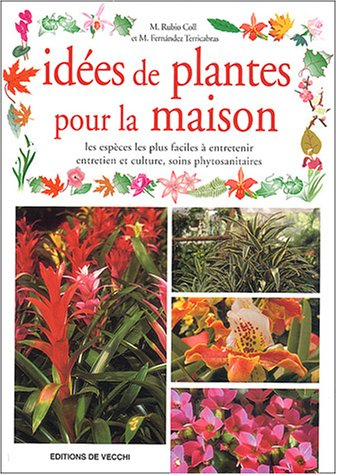 Idées de plantes pour la maison : les espèces les plus faciles à entretenir, entretien et culture, s