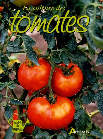 la culture des tomates