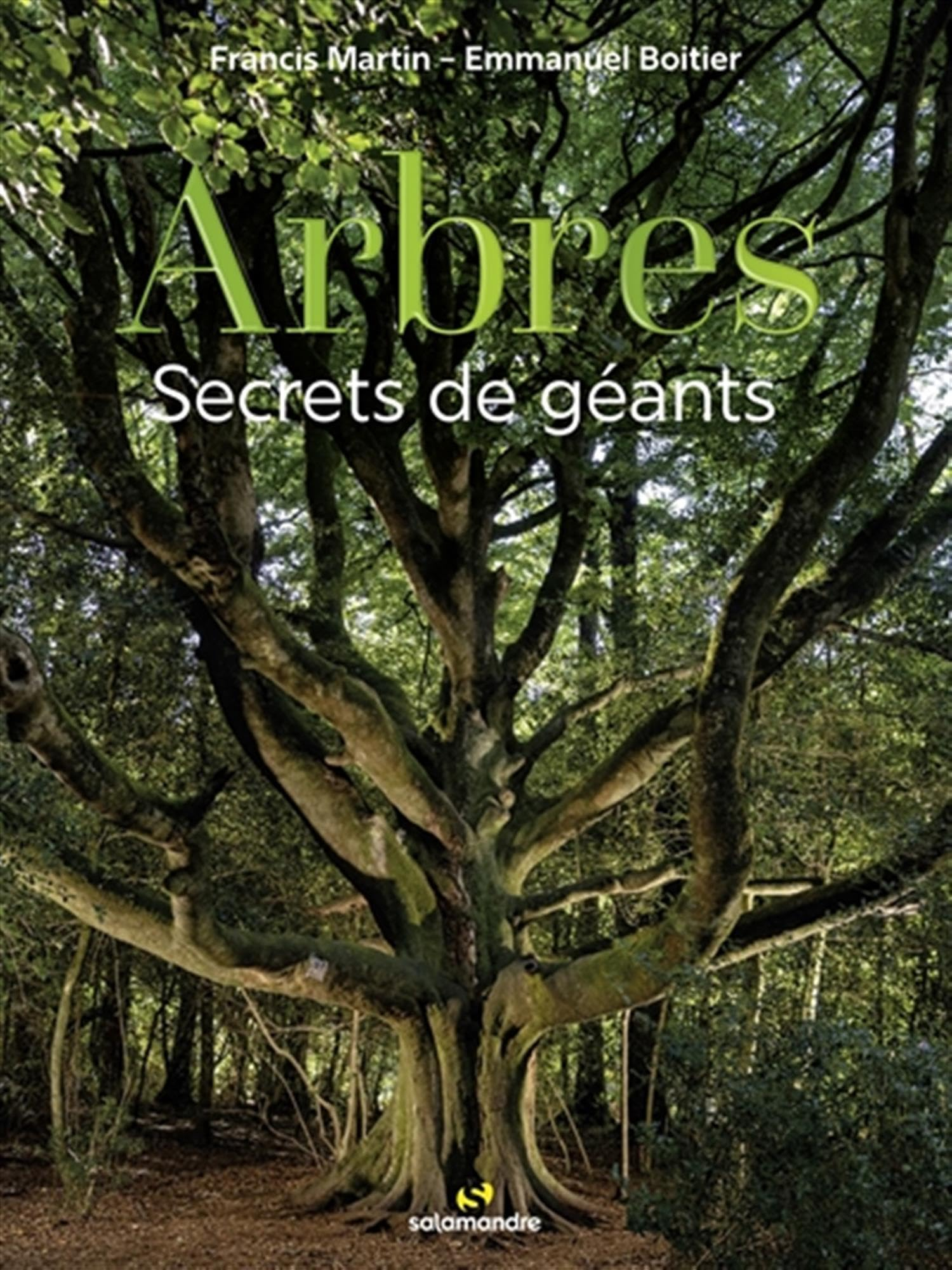 Arbres : secrets de géants