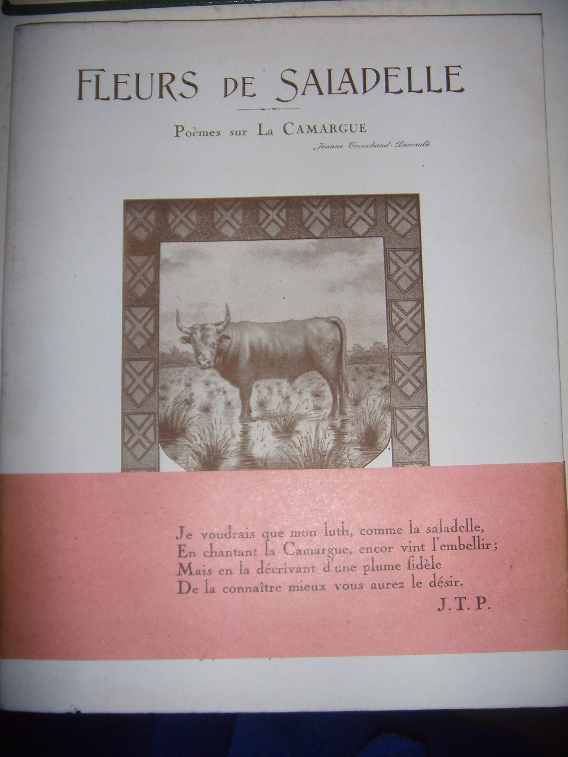 En Camargue, fleurs de saladelle : contes et récits