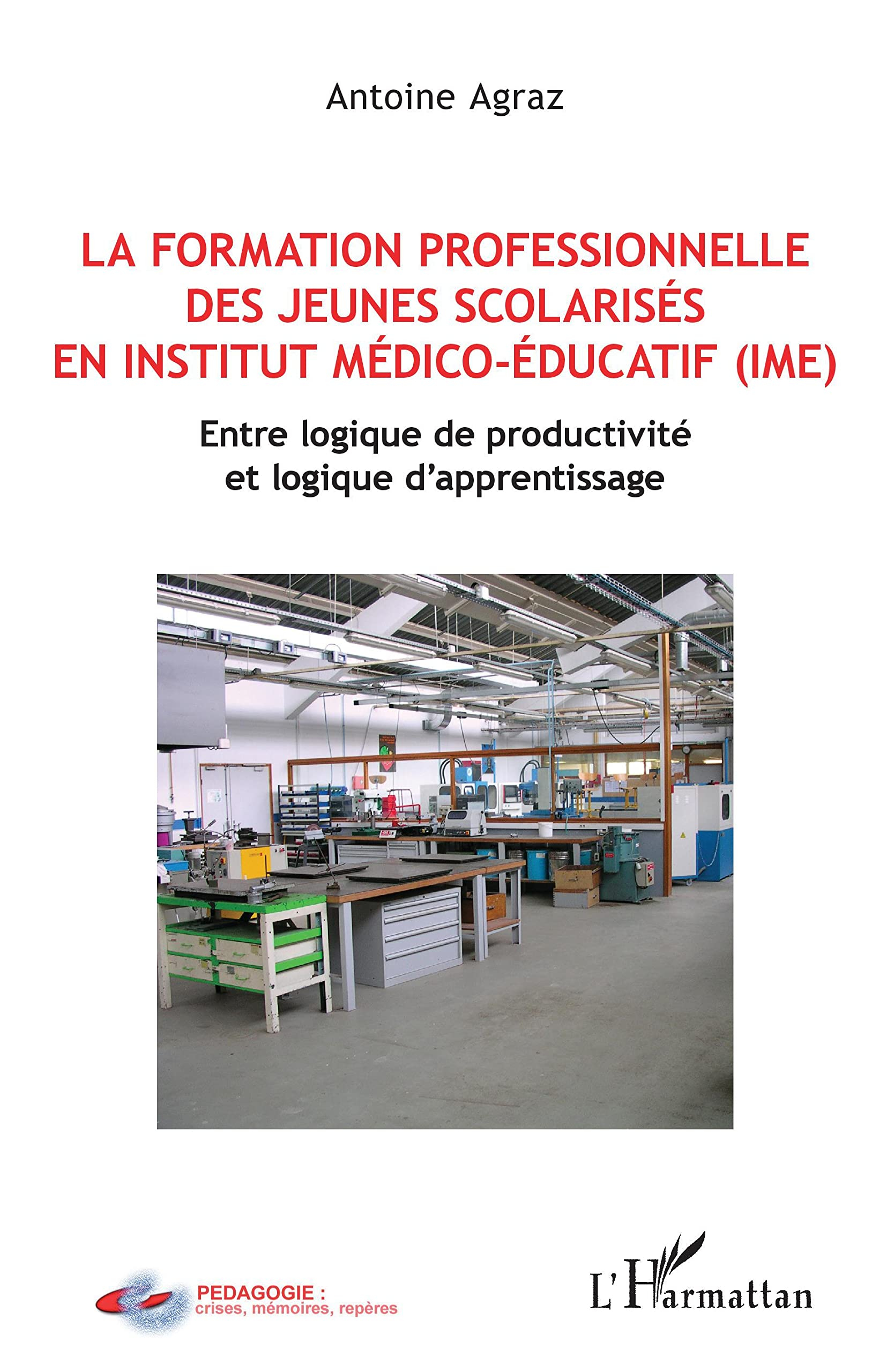 La formation professionnelle des jeunes scolarisés en institut médico-éducatif (IME) : entre logique