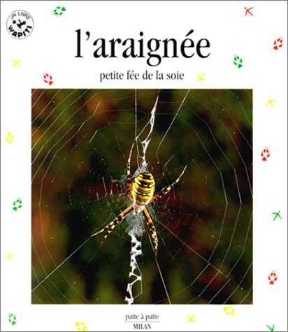 l'araignée, petite fée de la soie