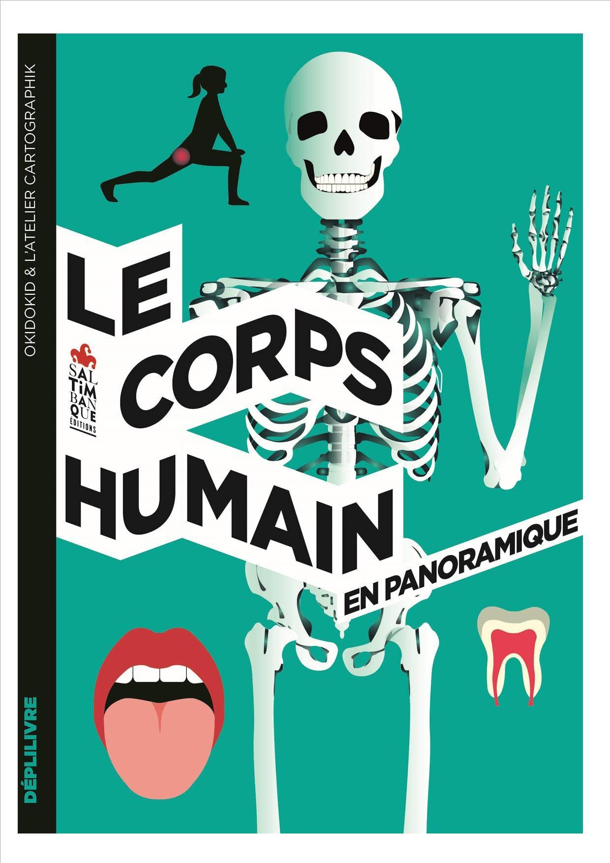 Le corps humain : en panoramique