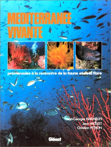 Méditerranée vivante : promenade à la rencontre de la faune et de la flore