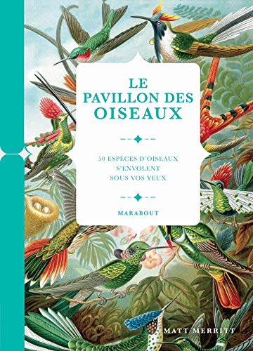 Le pavillon des oiseaux : 50 espèces d'oiseaux s'envolent sous vos yeux