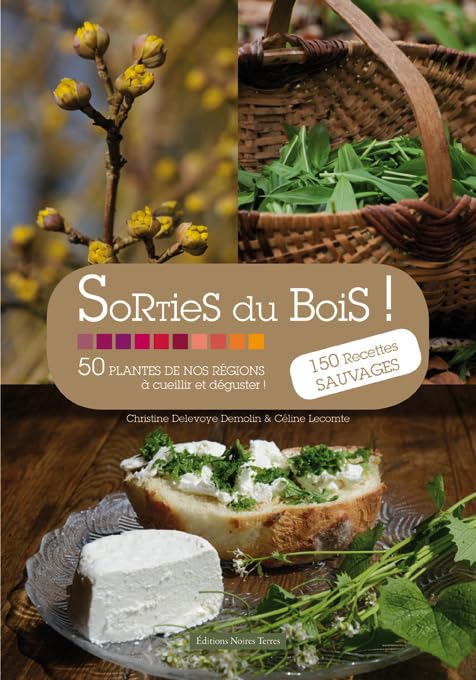 Sorties du bois : 50 plantes de nos régions à cueillir et déguster ! : 150 recettes sauvages