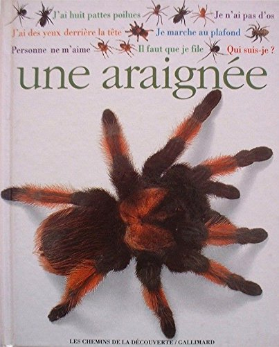 Qui suis-je ? : une araignée