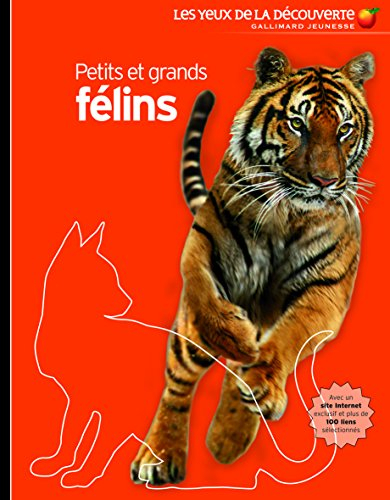 Petits et grands félins