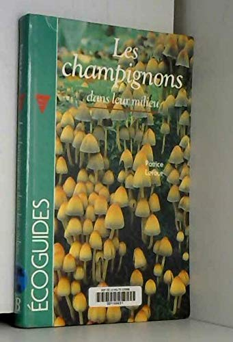 Les Champignons : dans leur milieu