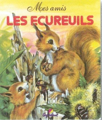 mes amis : les ecureuils
