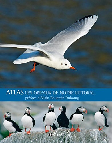 Les oiseaux du littoral
