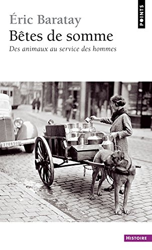 Bêtes de somme : des animaux au service des hommes