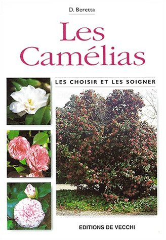 Les camélias