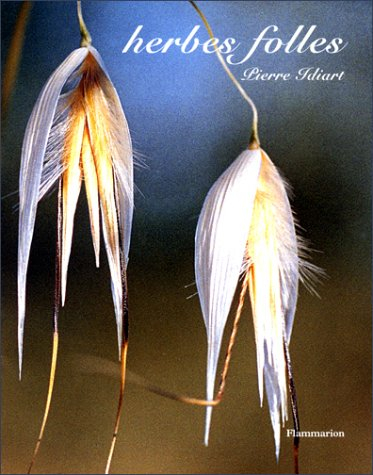 Herbes folles : beauté des graminées sauvages