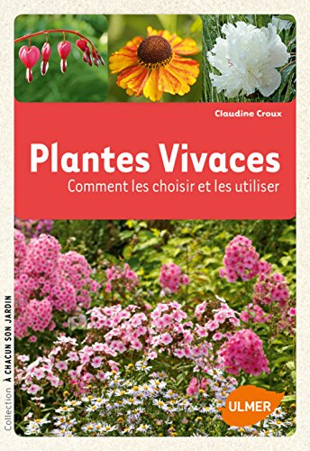 Plantes vivaces : comment les choisir et les utiliser