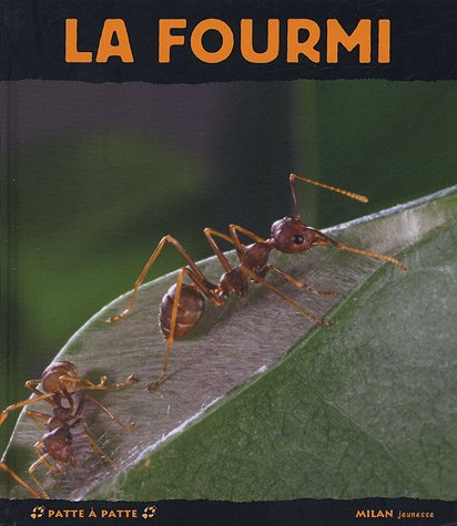 La fourmi