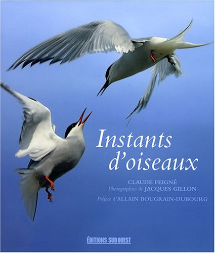Instants d'oiseaux