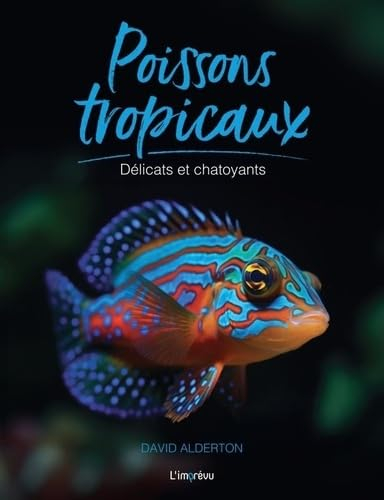 Poissons tropicaux : délicats et chatoyants