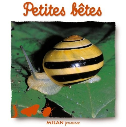 Petites bêtes