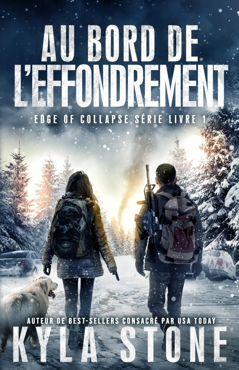 Au Bord De L’effondrement: Thriller Post-Apocalyptique
