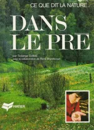 dans le pré