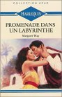 promenade dans un labyrinthe : collection : collection azur n, 992