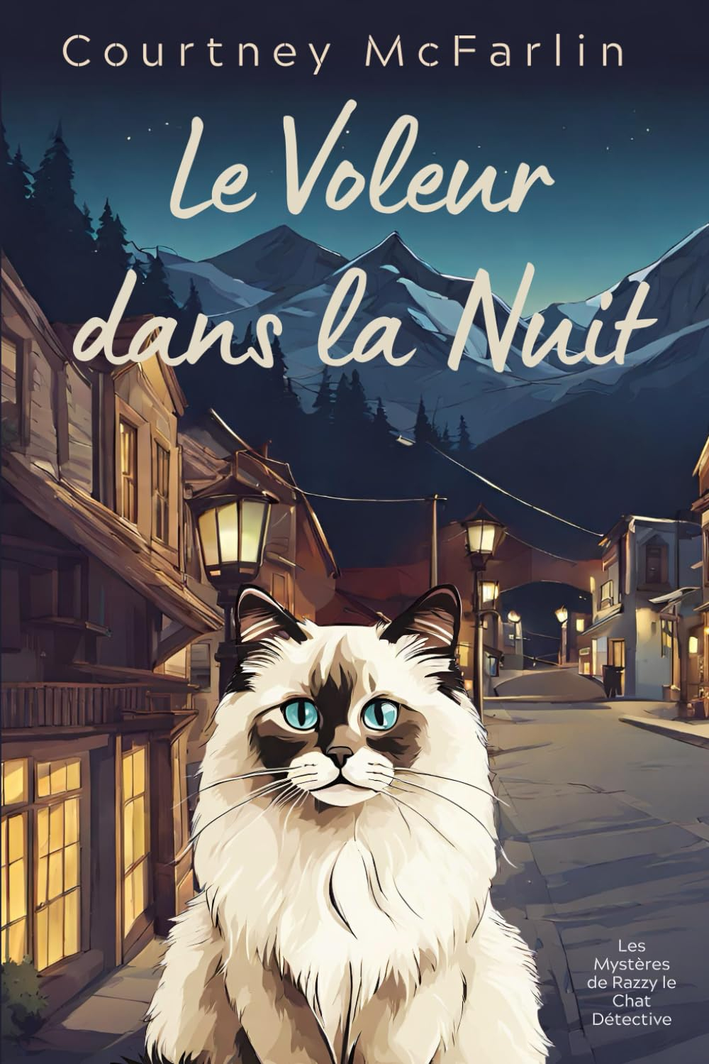Le Voleur dans la Nuit: Les Mystères de Razzy le Chat Détective #4