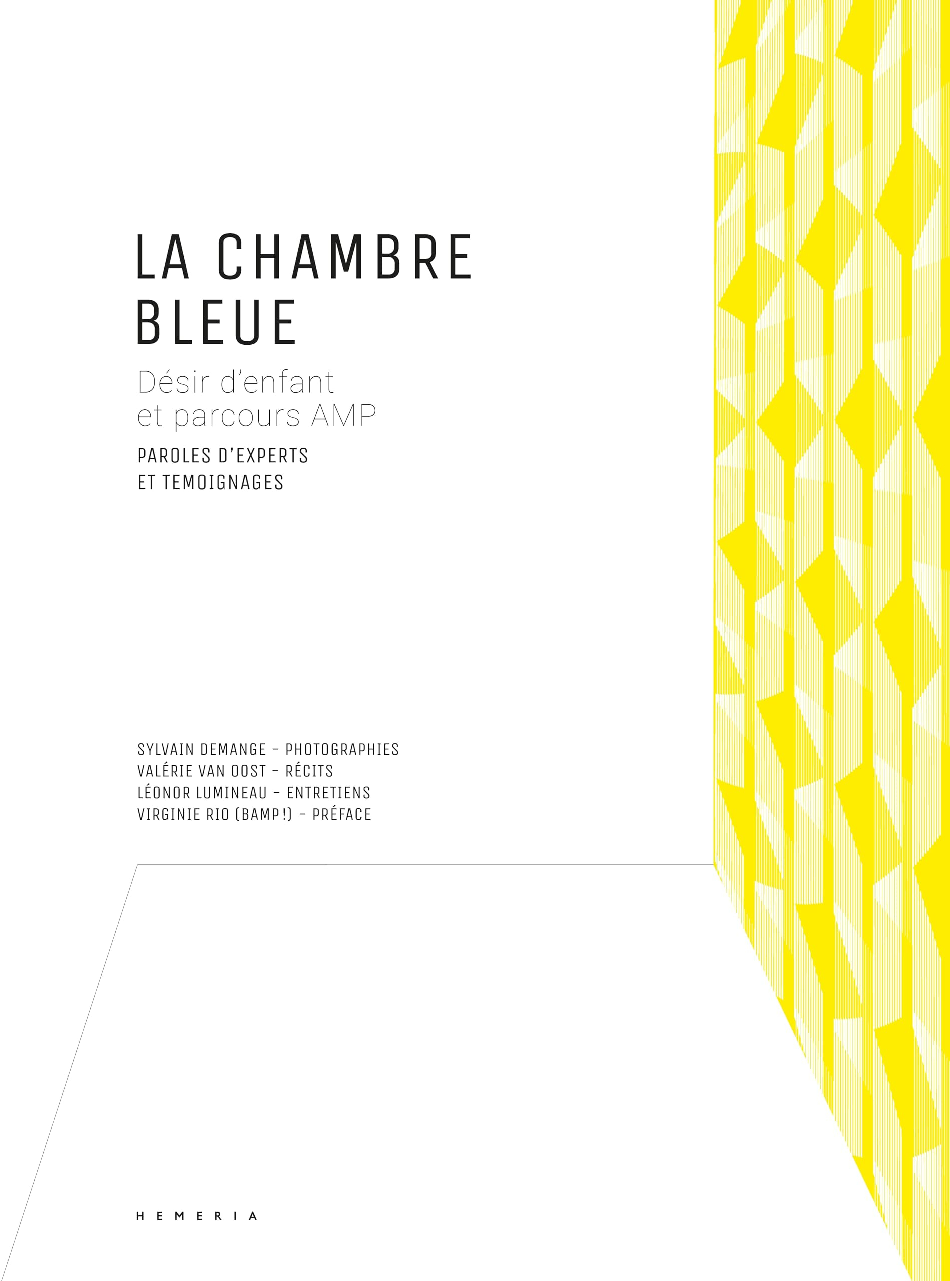 La chambre bleue : désir d&#039;enfant et parcours AMP : paroles d&#039;experts et témoignages