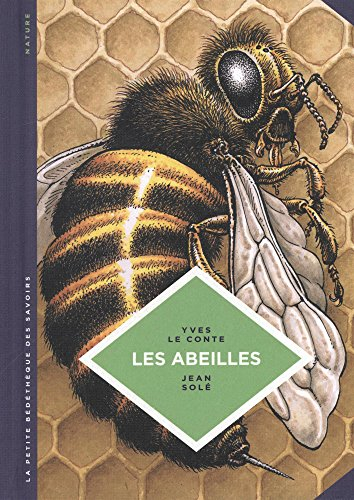 Les abeilles : les connaître pour mieux les protéger
