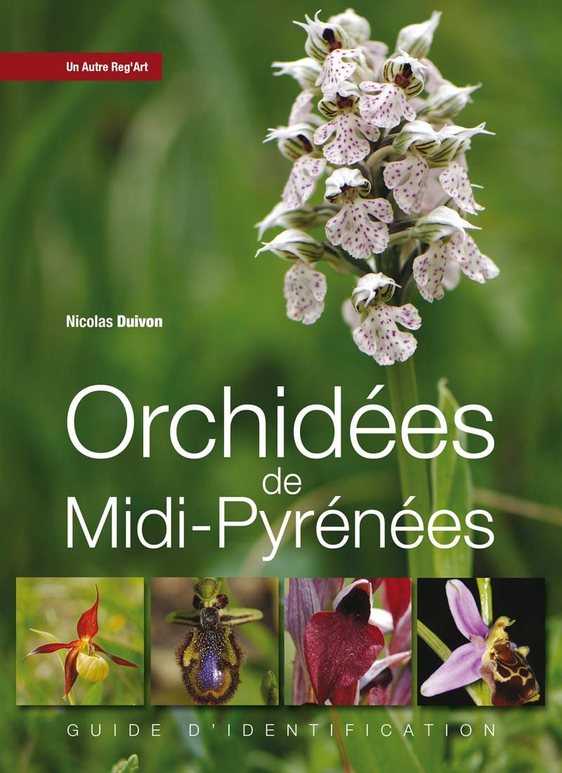 Orchidées de Midi-Pyrénées : guide d'identification
