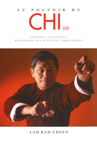 Le pouvoir du chi (qi) : comment cultiver et développer son potentiel corps-esprit
