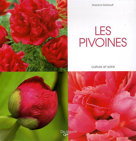 Les pivoines : culture et soins