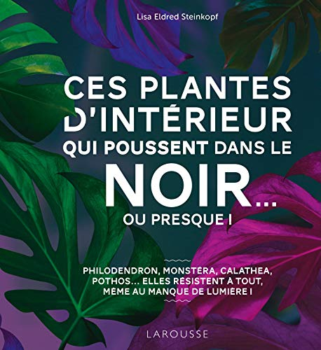 Ces plantes d'intérieur qui poussent dans le noir... ou presque ! : bien choisir puis entretenir des