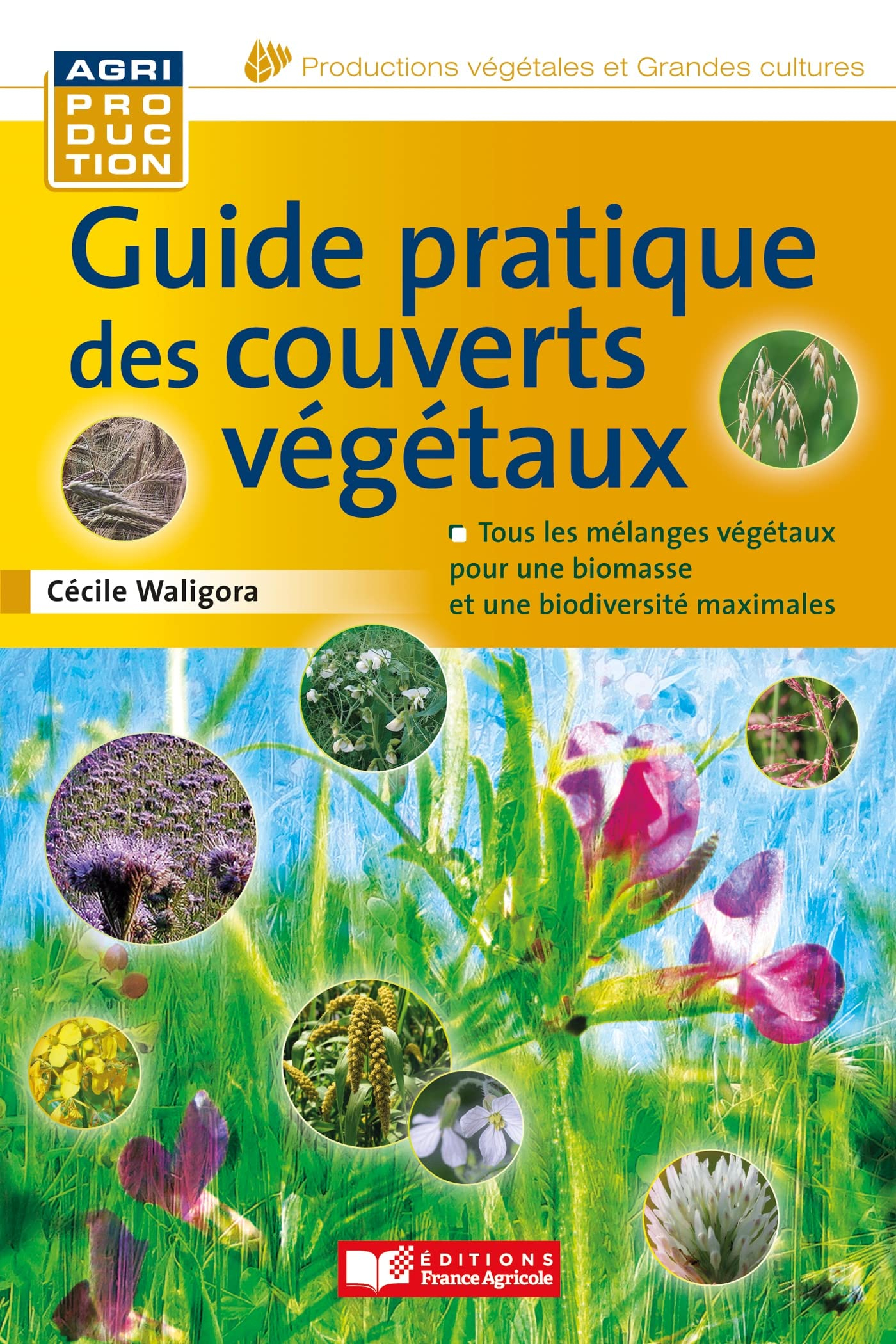 Guide pratique des couverts végétaux : tous les mélanges végétaux pour une biomasse et une biodivers