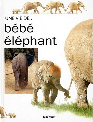 Bébé Eléphant