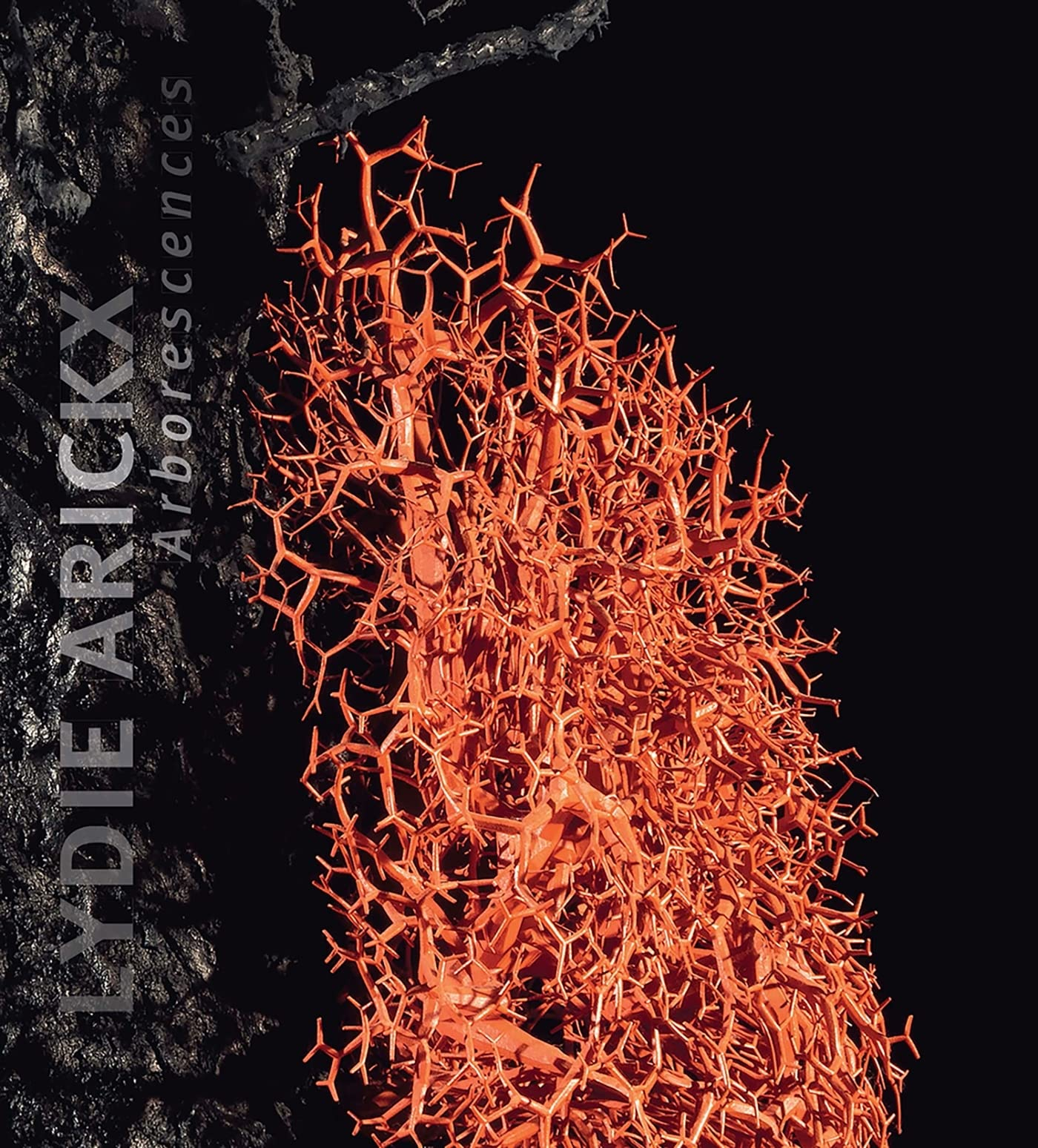 Lydie Arickx : arborescences : exposition, Domaine national de Chambord, du 30 mai au 17 octobre 202