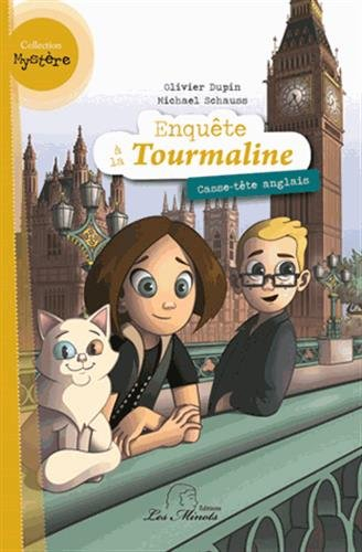enquete tourmaline t3 casse tete anglais