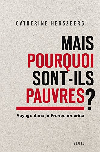 Mais pourquoi sont-ils pauvres ? : voyage dans la France en crise