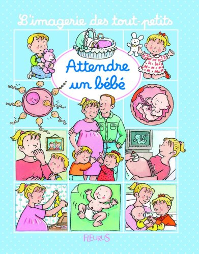 attendre un bebe , poster