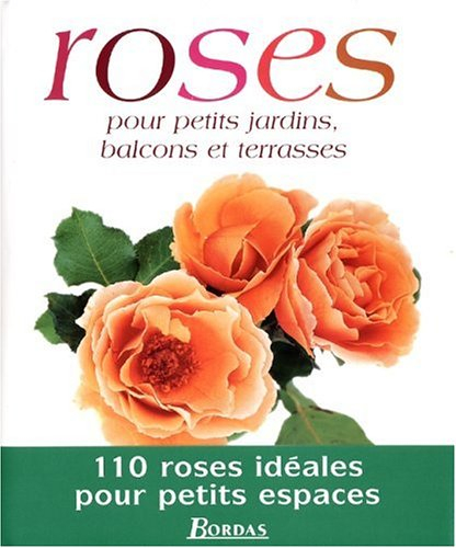 Roses pour petits jardins, balcons et terrasses