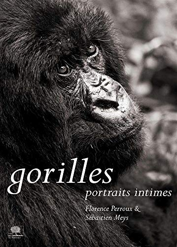 Gorilles : portraits intimes