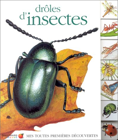 Drôles d'insectes
