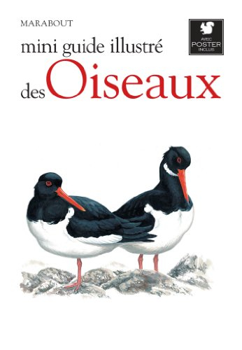 Le petit guide Marabout des oiseaux