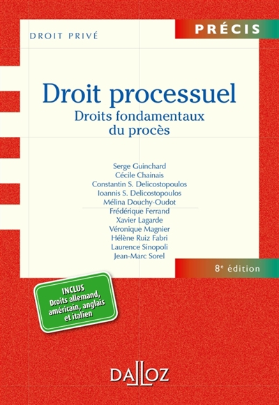 Droit processuel : droits fondamentaux du procès