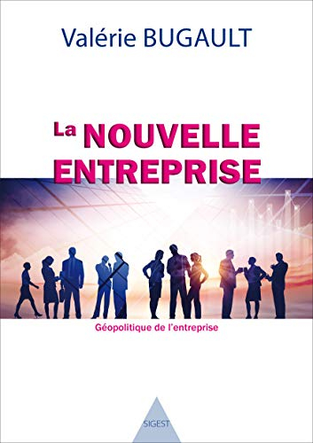 La nouvelle entreprise : géopolitique de l'entreprise : vers l'entreprise commerciale non capitalist