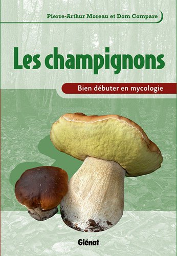 Les champignons : bien débuter en mycologie