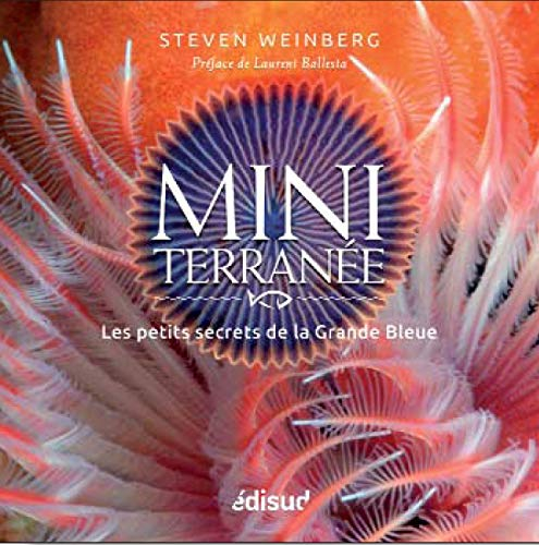 MINIterranée : les petits secrets de la Grande Bleue